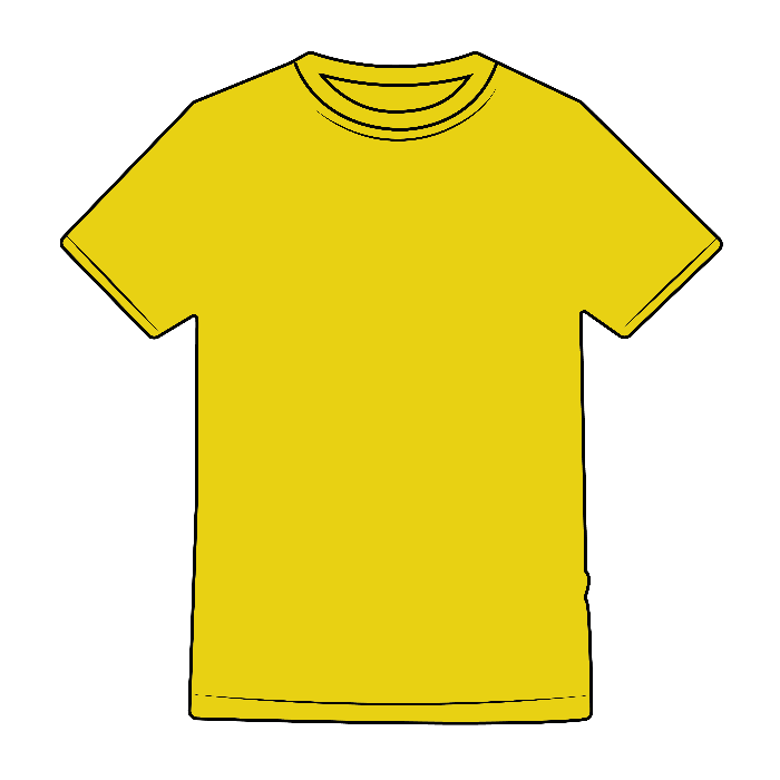 T-SHIRT EVOLUTION KIDS - BS