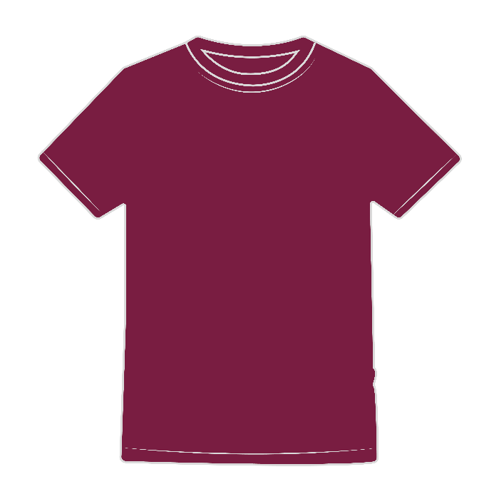 T-SHIRT UOMO EVOLUTION - BS