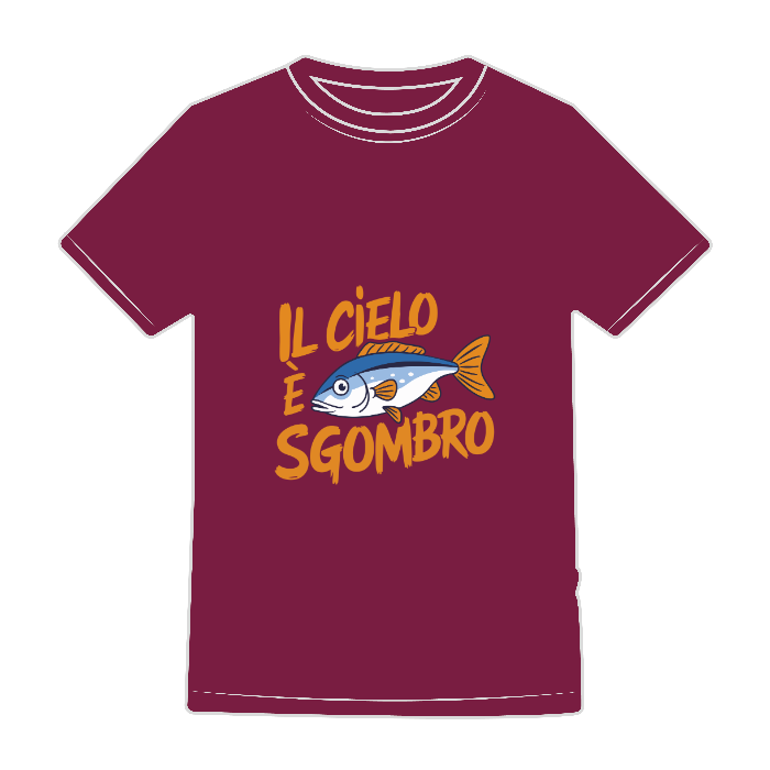 T-SHIRT EVOLUTION KIDS - BS