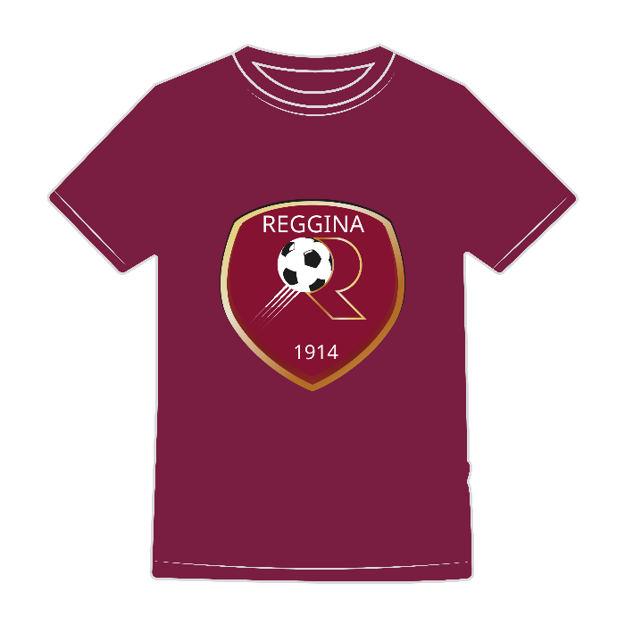 T-SHIRT EVOLUTION KIDS - BS