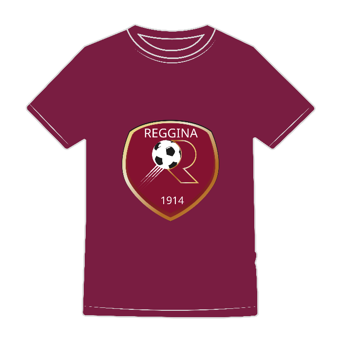 T-SHIRT EVOLUTION KIDS - BS