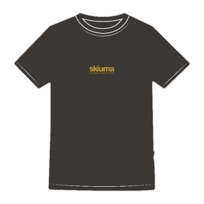 T-SHIRT ICONIC 150 T - FRUIT OF THE LOOM