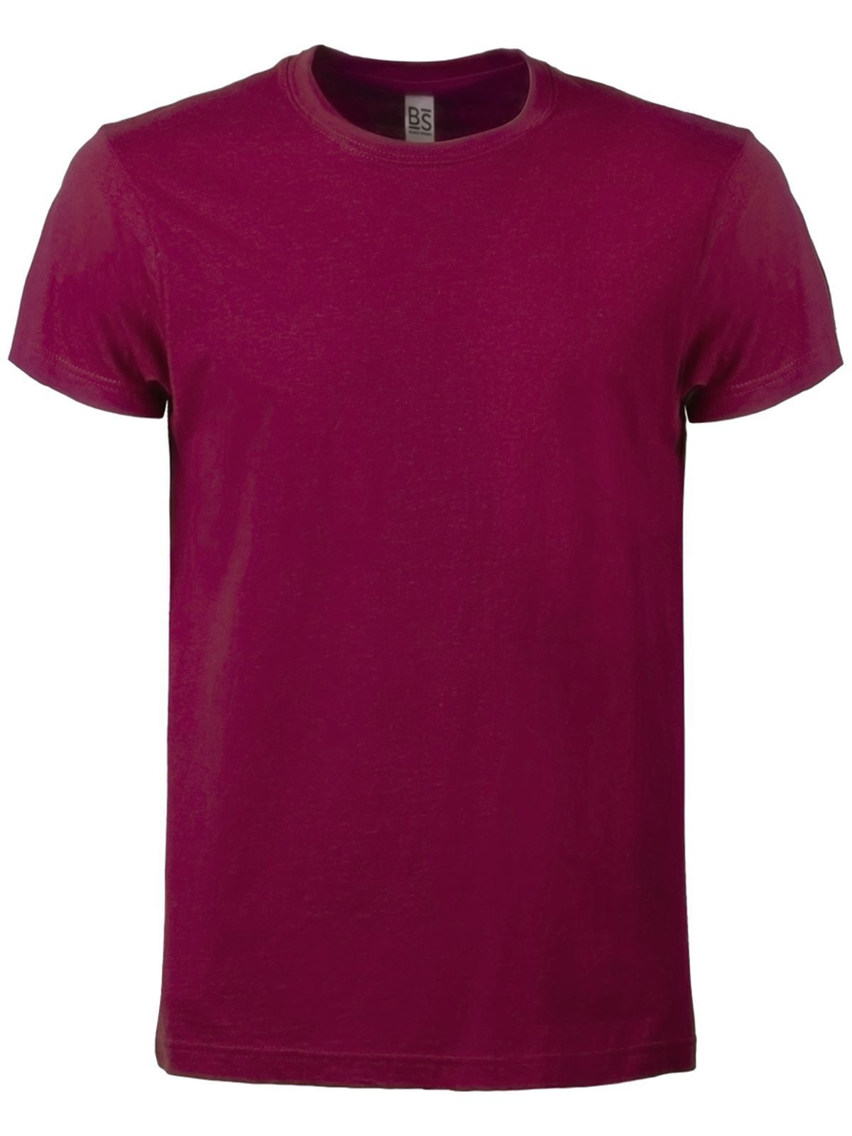 T-SHIRT UOMO EVOLUTION - BSBordeaux