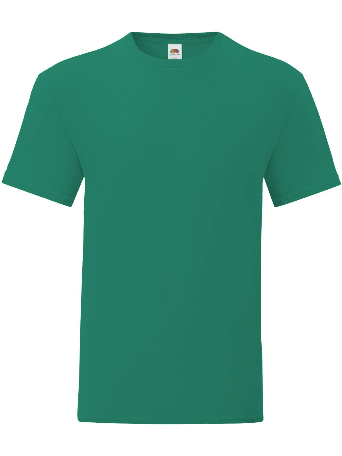 T-SHIRT ICONIC 195 T - FRUIT OF THE LOOMVerde Universitario