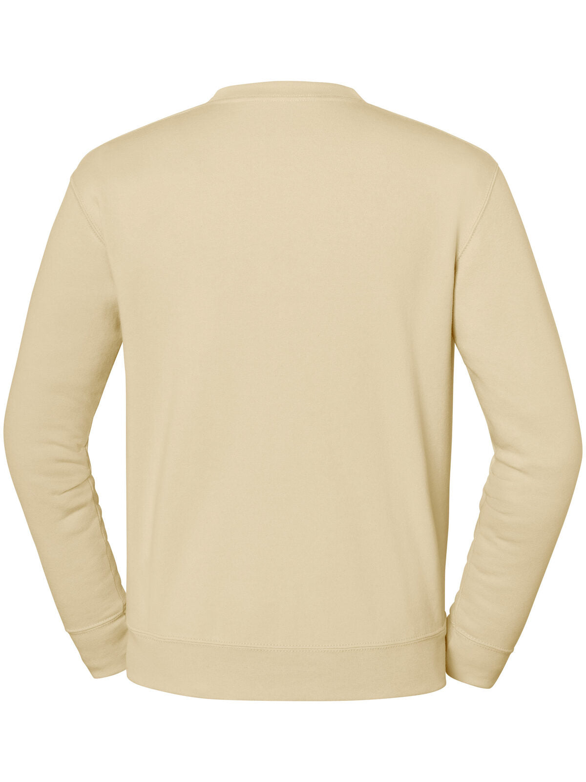 FELPA ICONIC PREMIUM SET-IN SWEAT - FRUIT OF THE LOOM