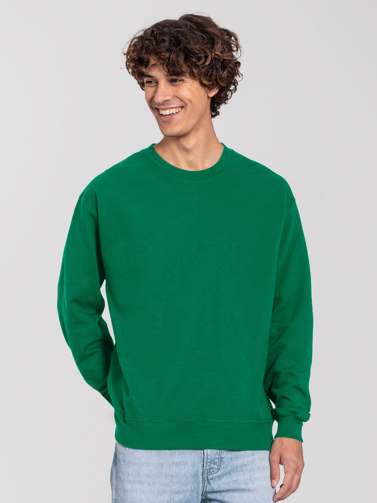 FELPA ICONIC 250 SET-IN SWEAT - FRUIT OF THE LOOM