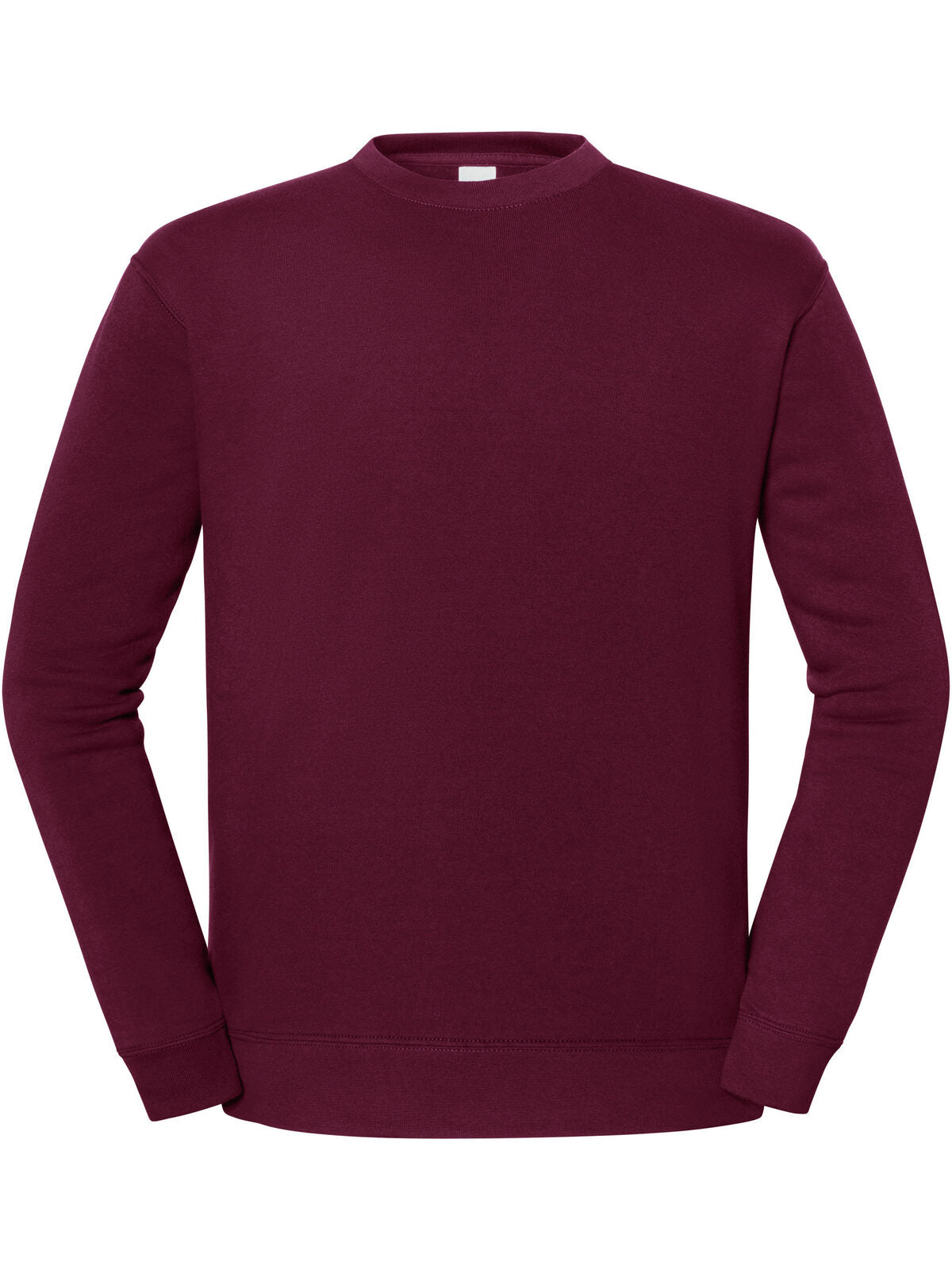 FELPA ICONIC 250 SET-IN SWEAT - FRUIT OF THE LOOM