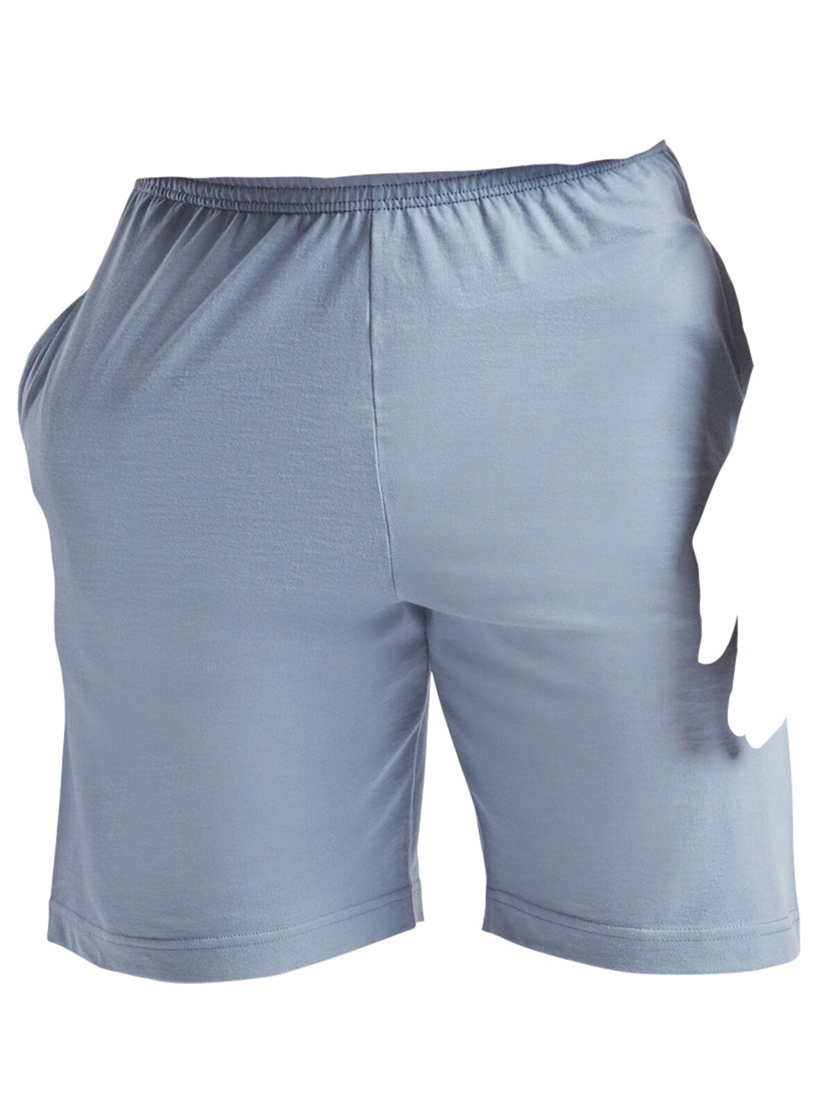 PANTALONCINI ICONIC 195 JERSEY SHORTS - FRUIT OF THE LOOMBlu Minerale