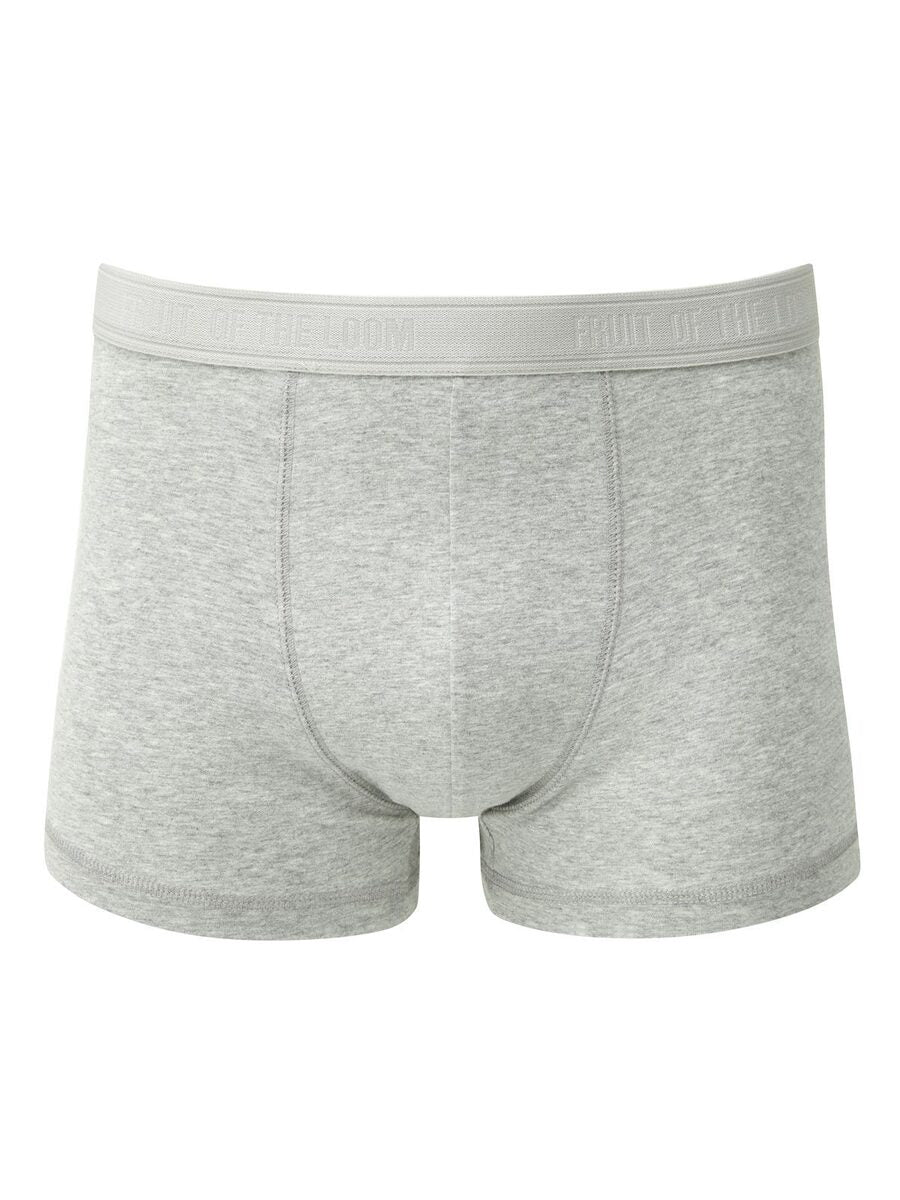 BOXER CLASSIC SHORTY 2 PACK - FRUIT OF THE LOOMGrigio Chiaro