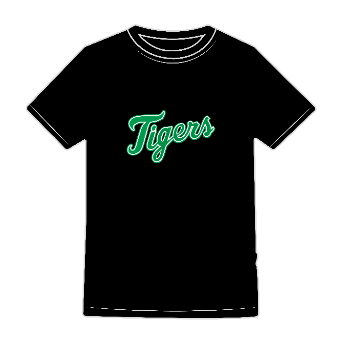 T-SHIRT UOMO EVOLUTION - BS