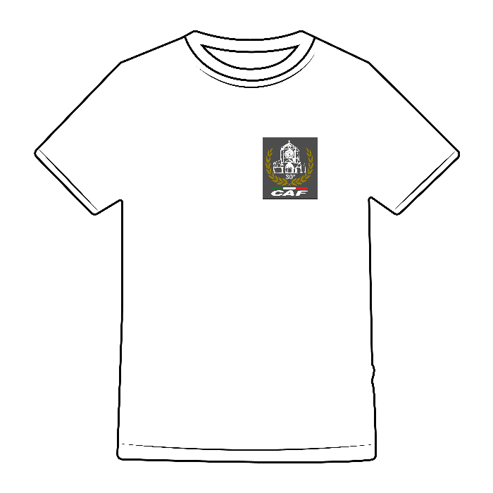 T-SHIRT ORIGINAL T - FRUIT OF THE LOOM