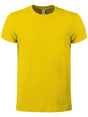 T-SHIRT UOMO EVOLUTION - BSGiallo Oro