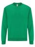 FELPA CLASSIC SET-IN SWEAT - FRUIT OF THE LOOMVerde Prato Vintage