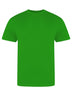 T-SHIRT GIROCOLLO THE 100 T - AWDIS JUST TSVerde Kelly