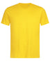 T-SHIRT STEDMAN® LUX - STEDMANGirasole
