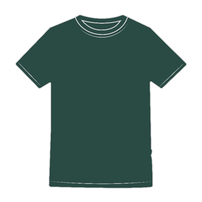 T-SHIRT ORIGINAL T - FRUIT OF THE LOOM