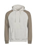 Felpa TJ5156 Unisex | Tee Jays - cement/clay